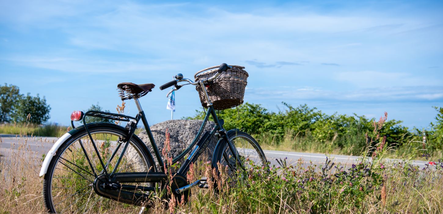 Führungen mit dem Fahrrad www.langeland.dk